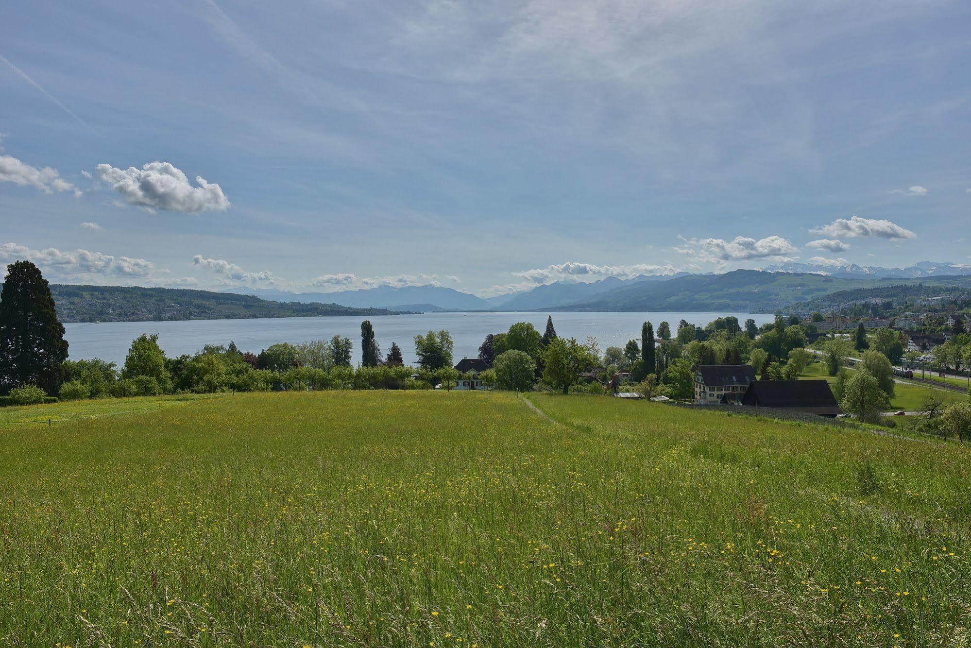 Hotel Landgasthof Halbinsel Au Wädenswil Exteriér fotografie